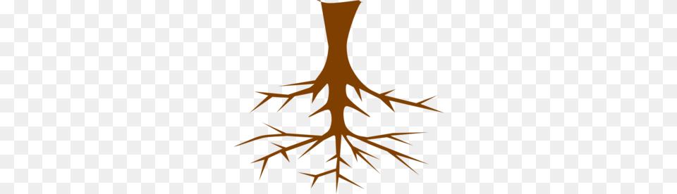 The Roots, Plant, Root, Person Free Png