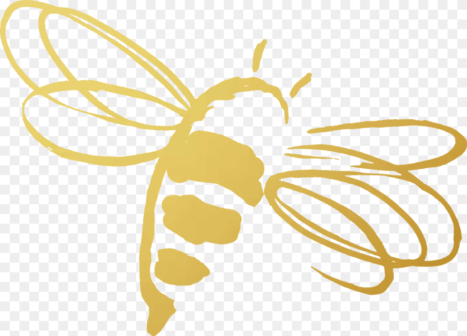 The Royal Revitalize Challenge Jafra Royal Jelly Bee, Animal, Insect, Invertebrate, Wasp Free Png
