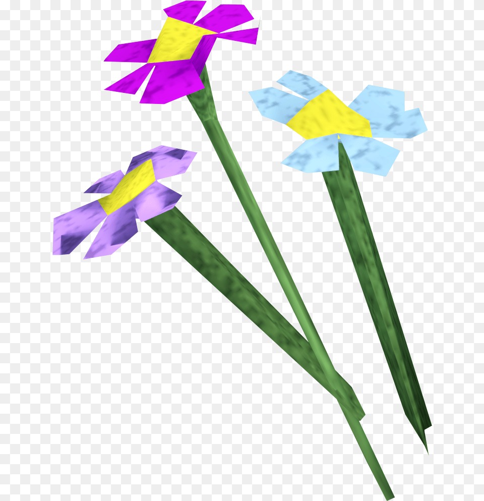 The Runescape Wiki, Flower, Plant, Purple, Petal Free Transparent Png