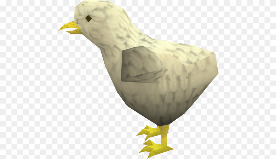 The Runescape Wiki Chicken, Animal, Bird, Beak, Person Free Png Download