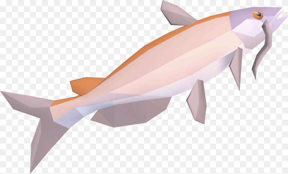 The Runescape Wiki Dolphin, Animal, Sea Life, Fish, Person Free Transparent Png