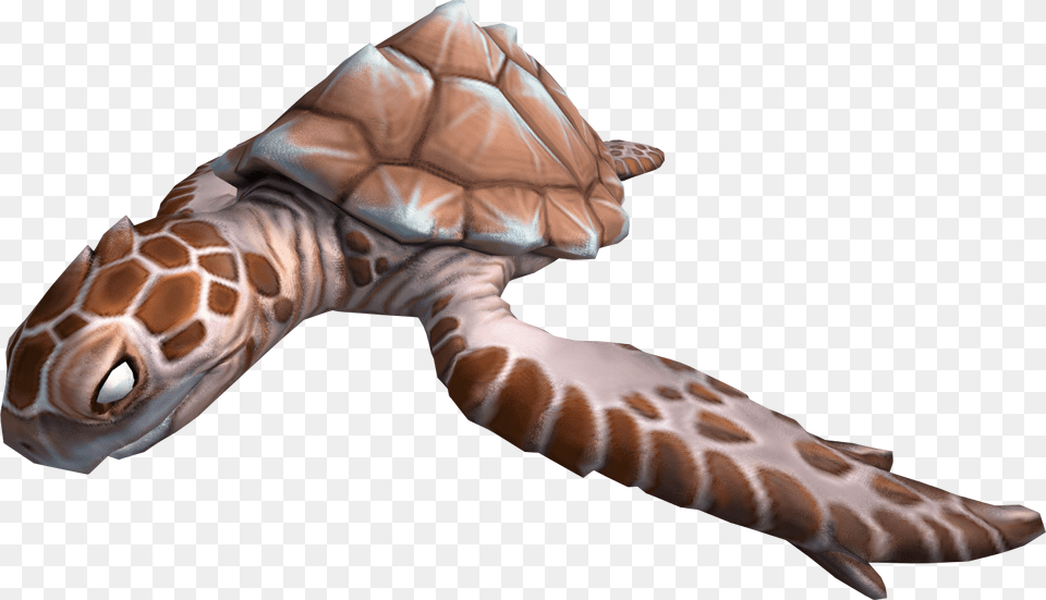 The Runescape Wiki Hawksbill Sea Turtle, Animal, Reptile, Sea Life, Sea Turtle Free Png Download