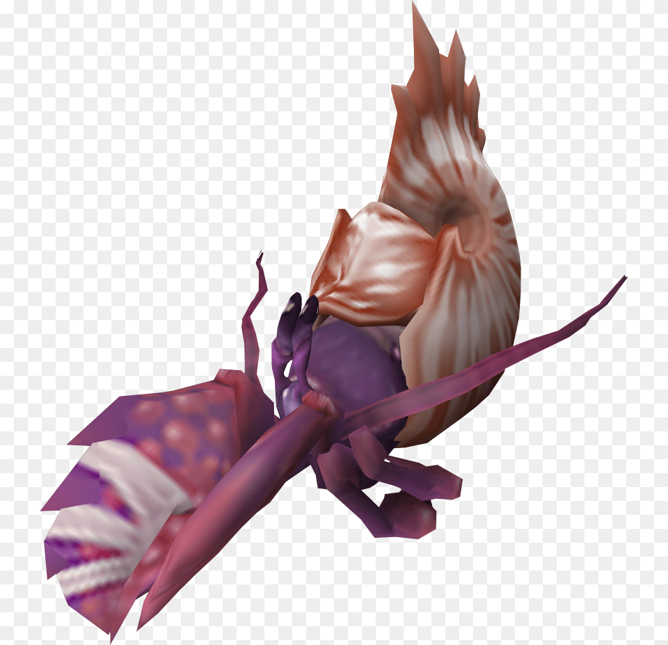 The Runescape Wiki Hermit Crab In Nautilus Shell, Food, Seafood, Adult, Female Free Transparent Png