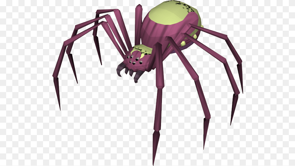 The Runescape Wiki Runescape Spider Queen, Animal, Garden Spider, Insect, Invertebrate Png Image