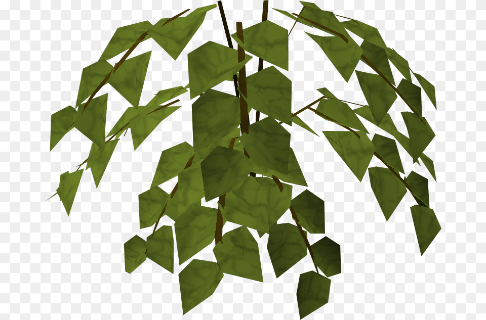The Runescape Wiki Triangle, Green, Leaf, Plant, Vine Png Image