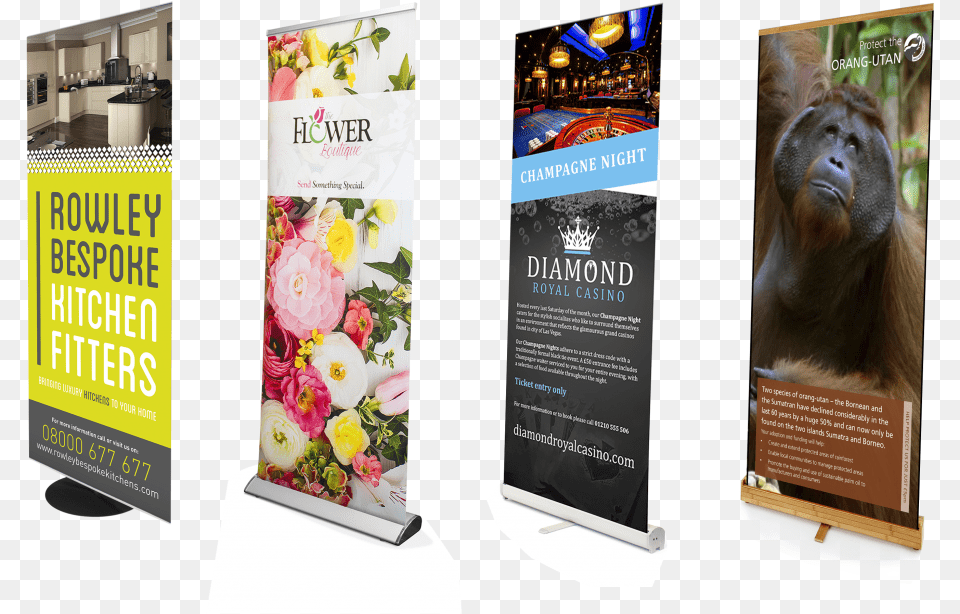 The Science Behind The Roller Banner Design Banner, Advertisement, Poster, Animal, Mammal Free Transparent Png