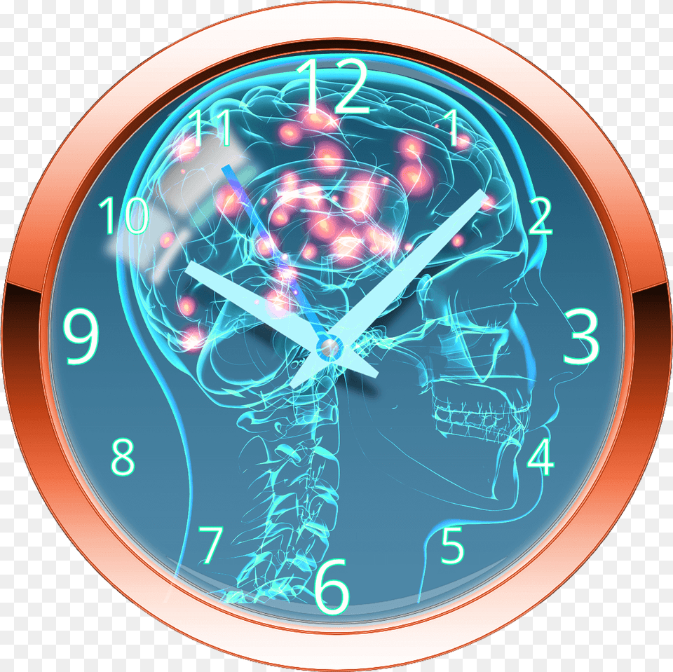 The Science Of Circadian Rhythm Led Lighting Transparent Nervous System, Clock, Analog Clock, Outdoors, Windmill Png