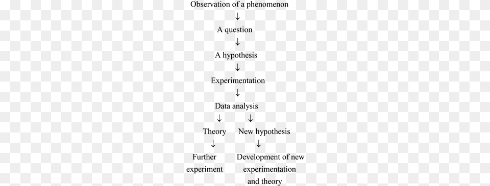 The Scientific Method Is A Systematic Approach To The Document, Gray Png