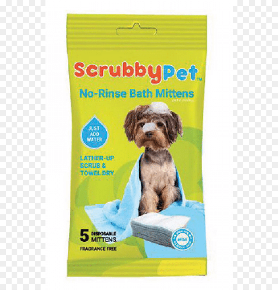 The Scrubbypet No Rinse Bath Mitten Is The New Alternative Scubby Pet Bath Mittens, Animal, Canine, Dog, Mammal Png Image