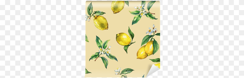 The Seamless Pattern Of The Branches Of Fresh Citrus Lemon, Citrus Fruit, Food, Fruit, Plant Free Png