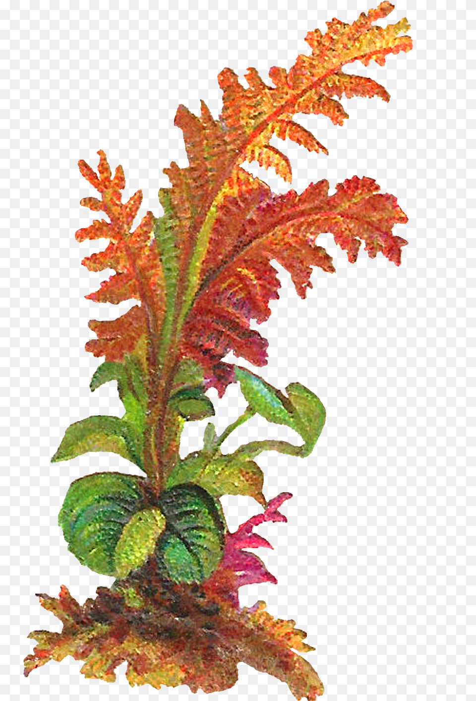 The Second Digital Leaves Is Also Designed Obras De Arte Con Hojas De Plantas, Leaf, Plant, Tree, Acanthaceae Free Png Download
