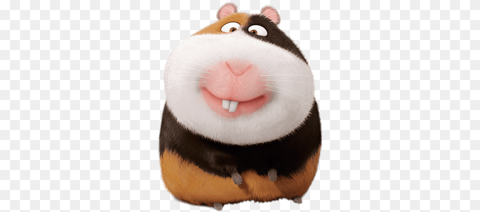 The Secret Life Of Pets Norman Hamster From Secret Life Of Pets Name, Plush, Toy, Animal, Bear Png Image