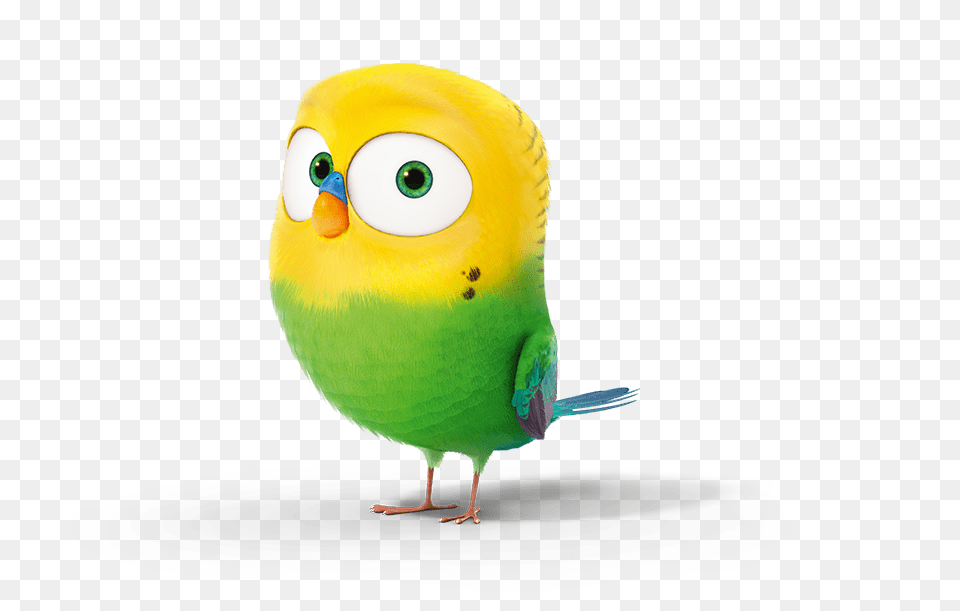 The Secret Life Of Pets Sweetpea, Animal, Beak, Bird, Parakeet Png Image