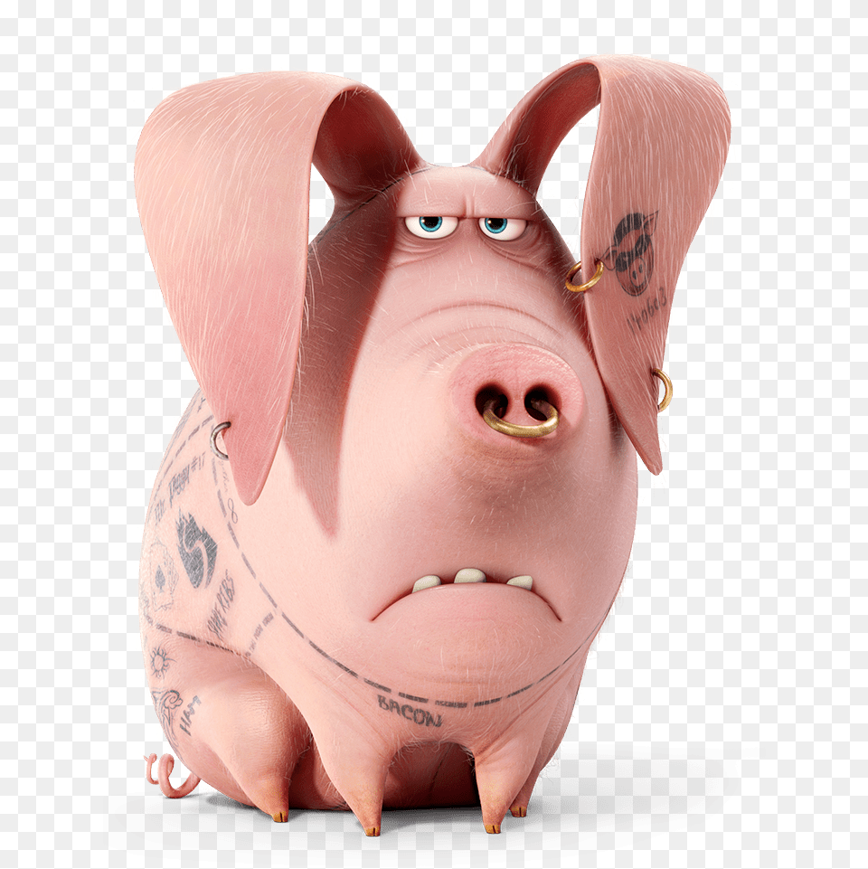 The Secret Life Of Pets Tattoo, Baby, Person, Animal, Mammal Png