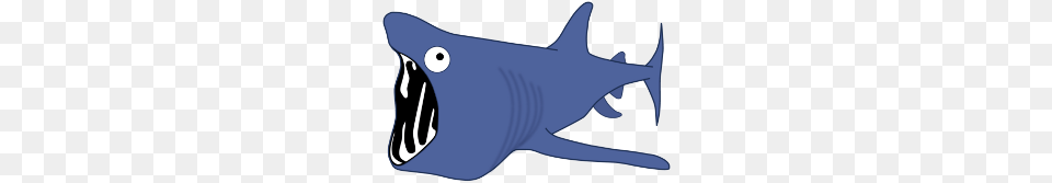 The Shark Trust, Animal, Sea Life, Fish Free Transparent Png