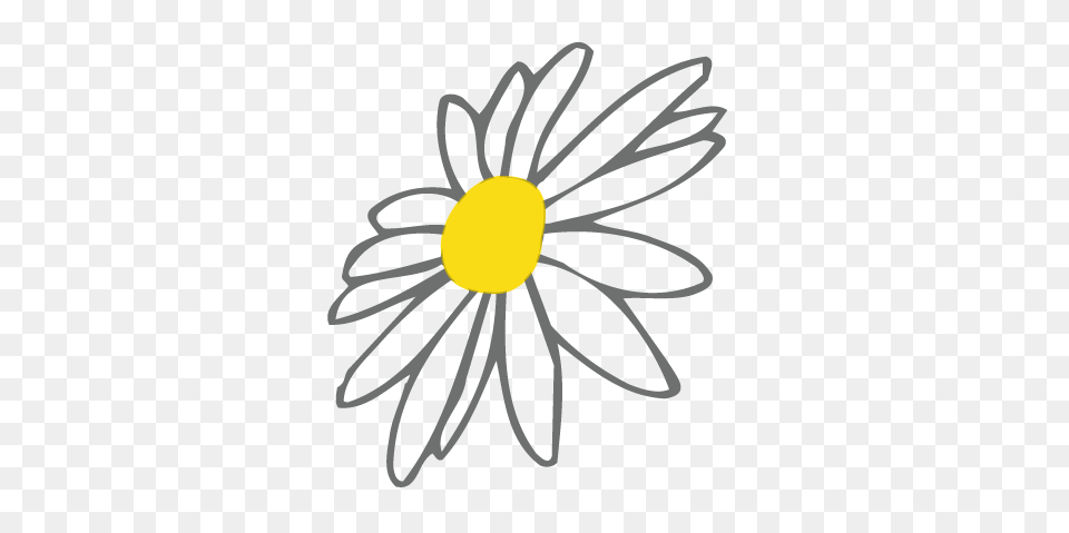 The Shop Daisy Digins, Flower, Plant, Petal Png Image