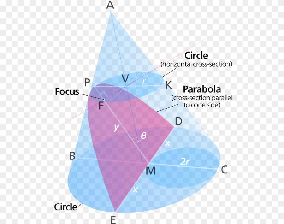 The Shows A Cone With A Parabola And A Circle Parabola Cross Section Cone, Triangle Free Png