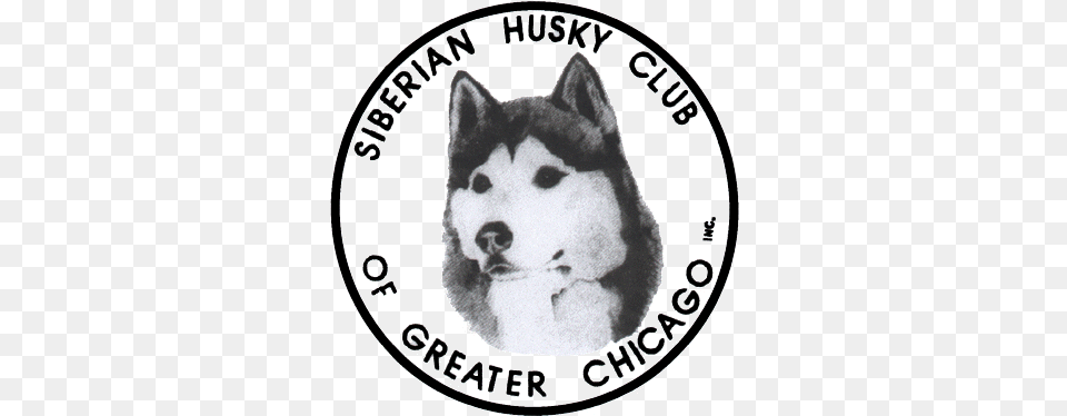 The Siberian Husky Club Of Greater Chicago Canadian Eskimo Dog, Animal, Canine, Mammal, Pet Png Image