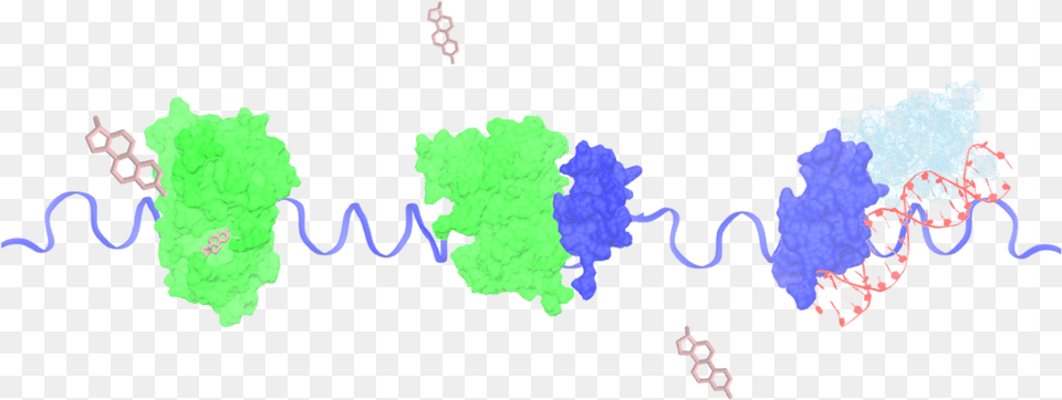 The Sichun Yang Lab, Chart, Plot, Map Free Transparent Png