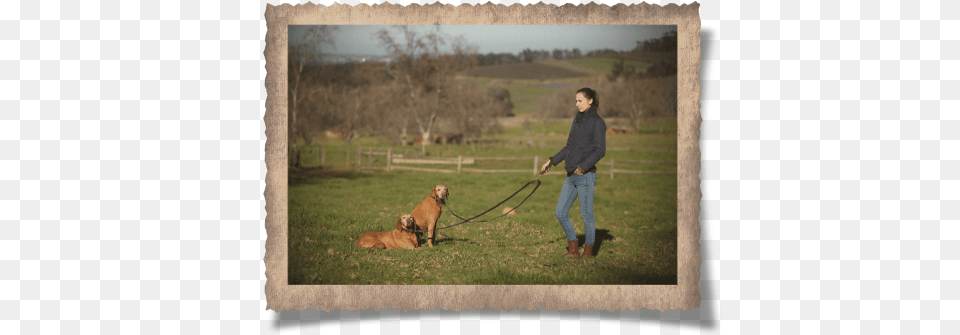 The Simonstown Trainer Dog Lead Strap, Teen, Girl, Female, Person Png Image