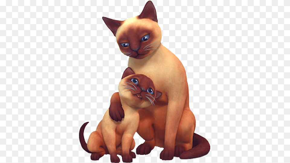 The Sims Wiki Cute Sims 4 Cats And Dogs, Animal, Cat, Mammal, Pet Free Transparent Png