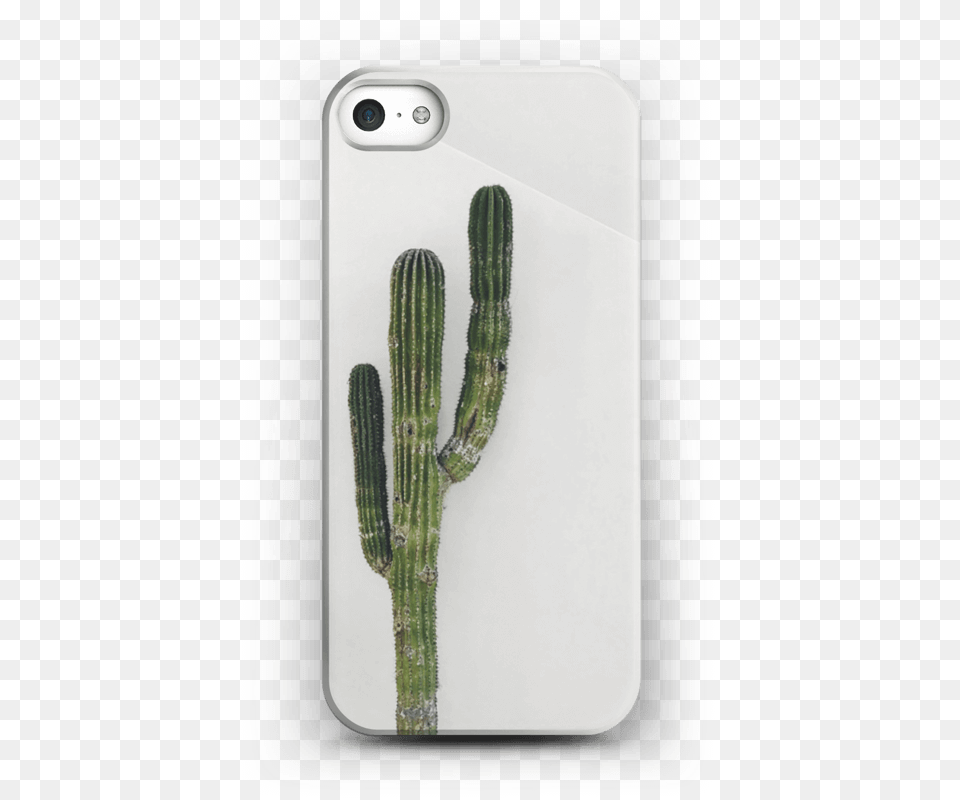 The Single Cactus Case Iphone 55s Iphone Xs, Plant, Electronics, Mobile Phone, Phone Free Png