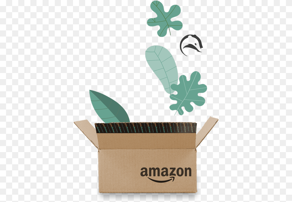 The Smartest Most Effective Software To Increase Amazon Lovelace Lung Grasping Forcepsstraight Serrated Jaws, Box, Plant, Leaf, Carton Free Png