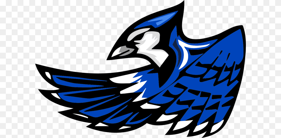 The Snook Blue Jays, Animal, Bird, Jay, Blue Jay Png Image