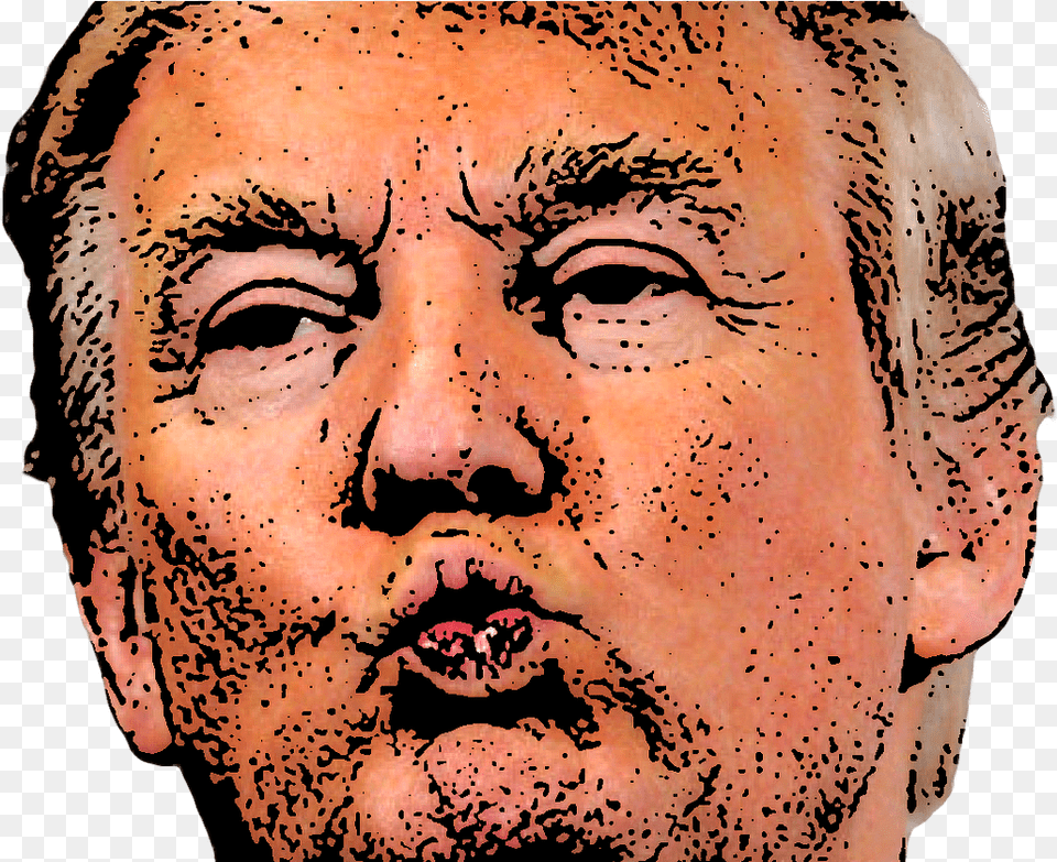 The Soft Power Of Crowdfunding Donald Trump, Face, Head, Person, Photography Free Transparent Png