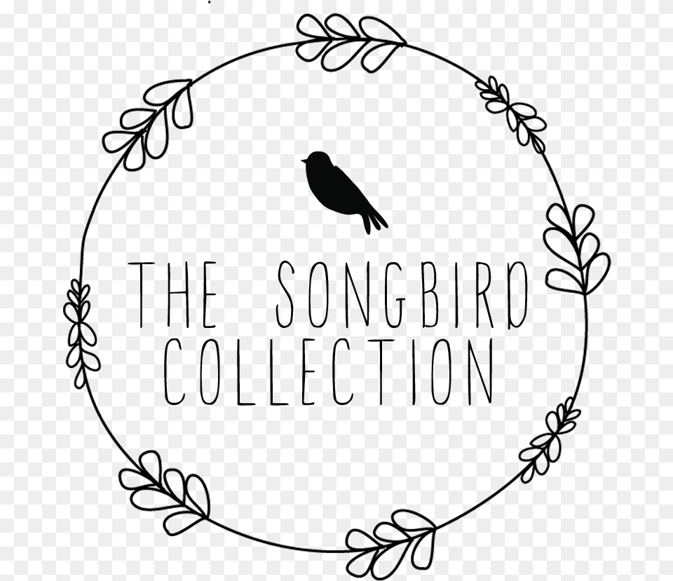 The Songbird Collection Songbird Collection, Blackboard Png Image