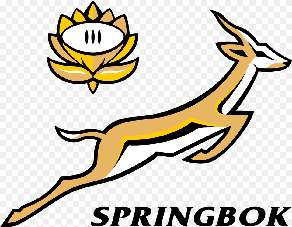 The South African National Animal Is Logo South Africa Rugby World Cup, Antelope, Gazelle, Mammal, Wildlife Free Png Download