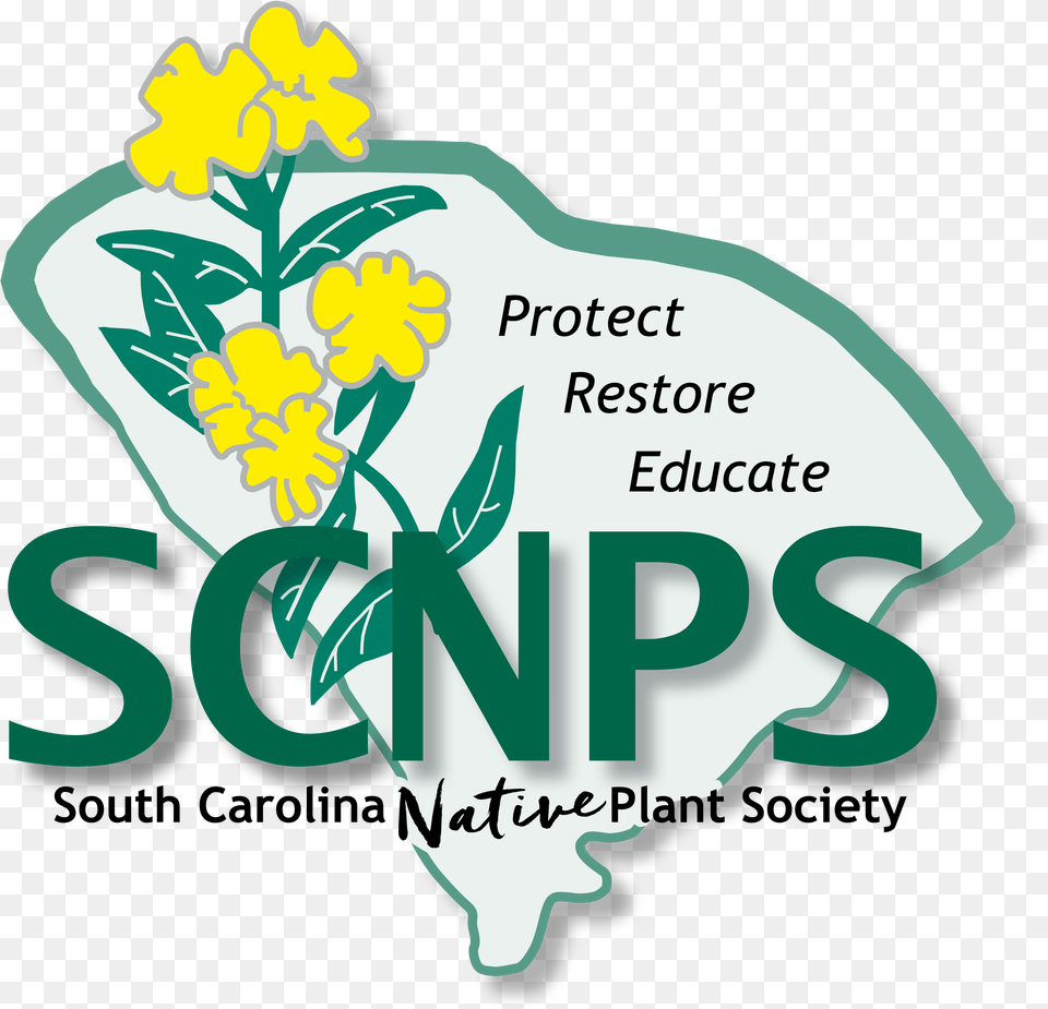 The South Carolina Native Plant Society South Carolina Native Plant Society, Petal, Flower, Art, Graphics Png Image
