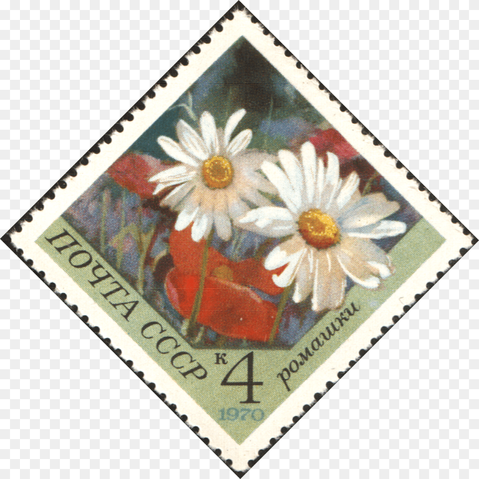 The Soviet Union 1970 Cpa 3943 Stamp African Daisy, Postage Stamp, Flower, Plant, Art Png Image