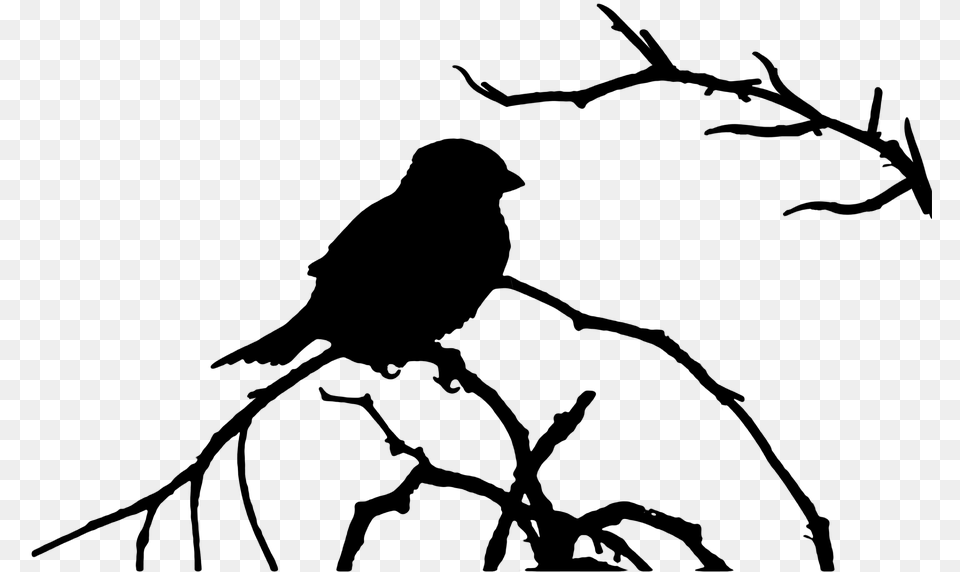 The Sparrow Bird The Silhouette Graphics Vector Bird In Tree, Gray Free Png Download