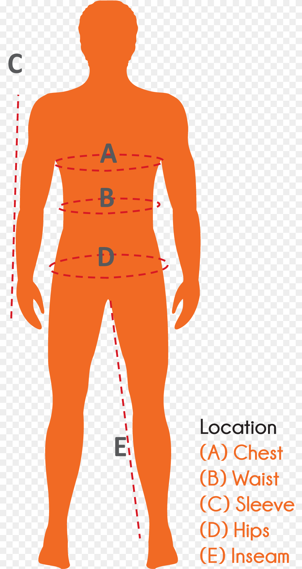 The Splav Company Wares Standing, Chart, Plot, Adult, Male Png