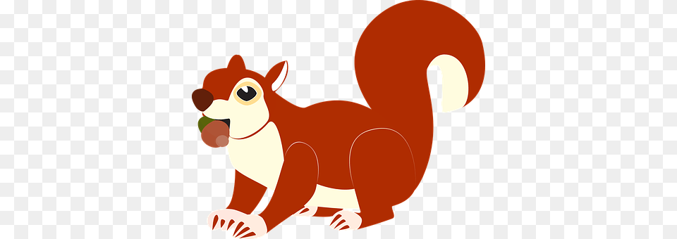 The Squirrel Baby, Person, Animal, Mammal Free Transparent Png