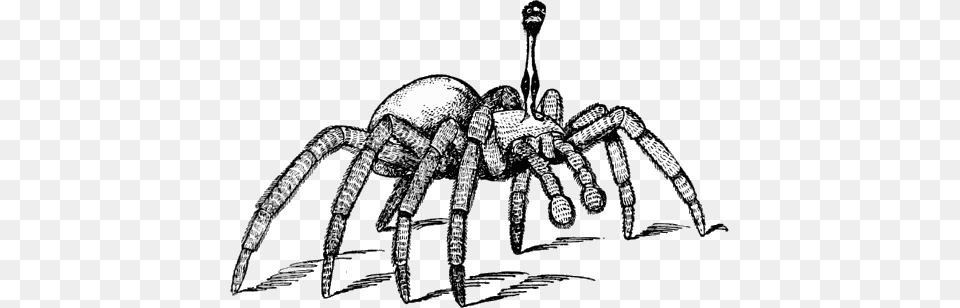 The Stalk Eyed Spider Nothing But A Great Mechanical Stalk Eyed Spider, Animal, Invertebrate Png