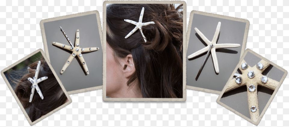 The Starling Hair Pin Starfish, Accessories, Jewelry, Earring, Person Png Image