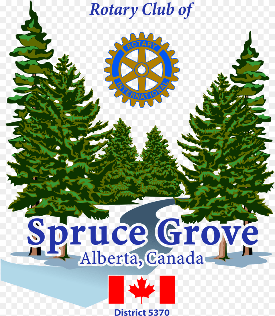 The Stony Plain Reportergrove Examiner Published An Blame It On The Spruce Budworm, Pine, Tree, Plant, Fir Png Image