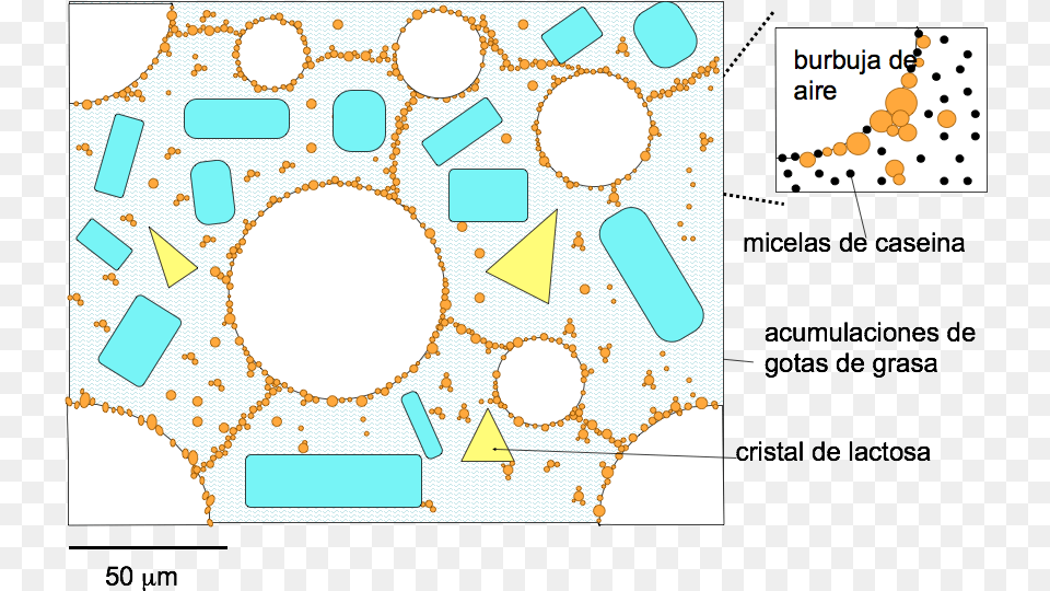 The Structure Of An Ice Cream At 5c Circle, Pattern Png Image