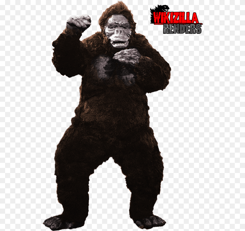 The Stuingtion And Hiatt Grey Cinematic Universe W King Kong Transparent Background, Animal, Mammal, Wildlife, Ape Png Image