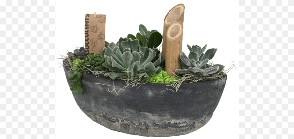 The Succulent Boat Ontario, Jar, Plant, Planter, Potted Plant Free Png