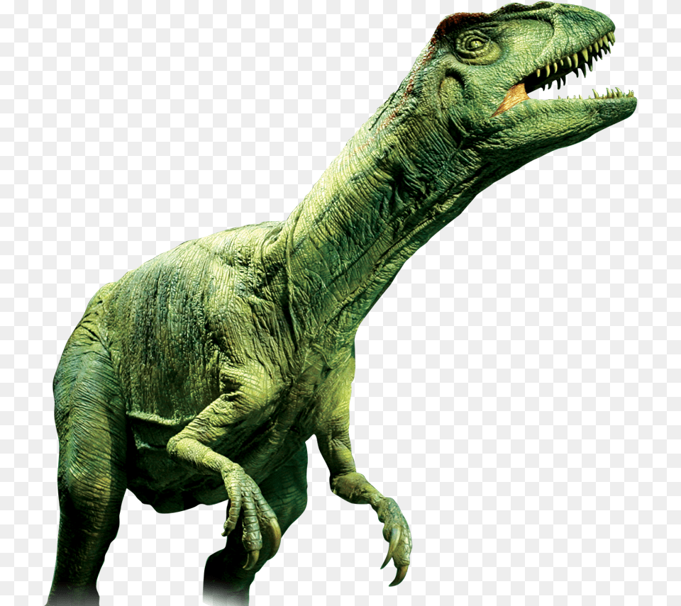 The Sun Tyrannosaurus, Animal, Dinosaur, Reptile, T-rex Free Transparent Png