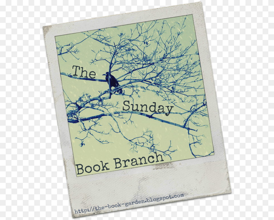 The Sunday Book Branch, Animal, Bird, Publication Free Png Download