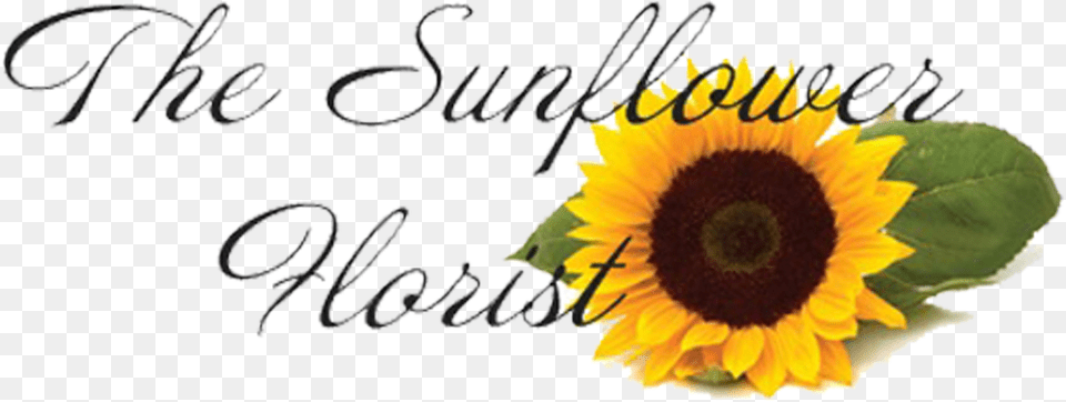 The Sunflower Florist Sunflower, Flower, Plant Free Transparent Png