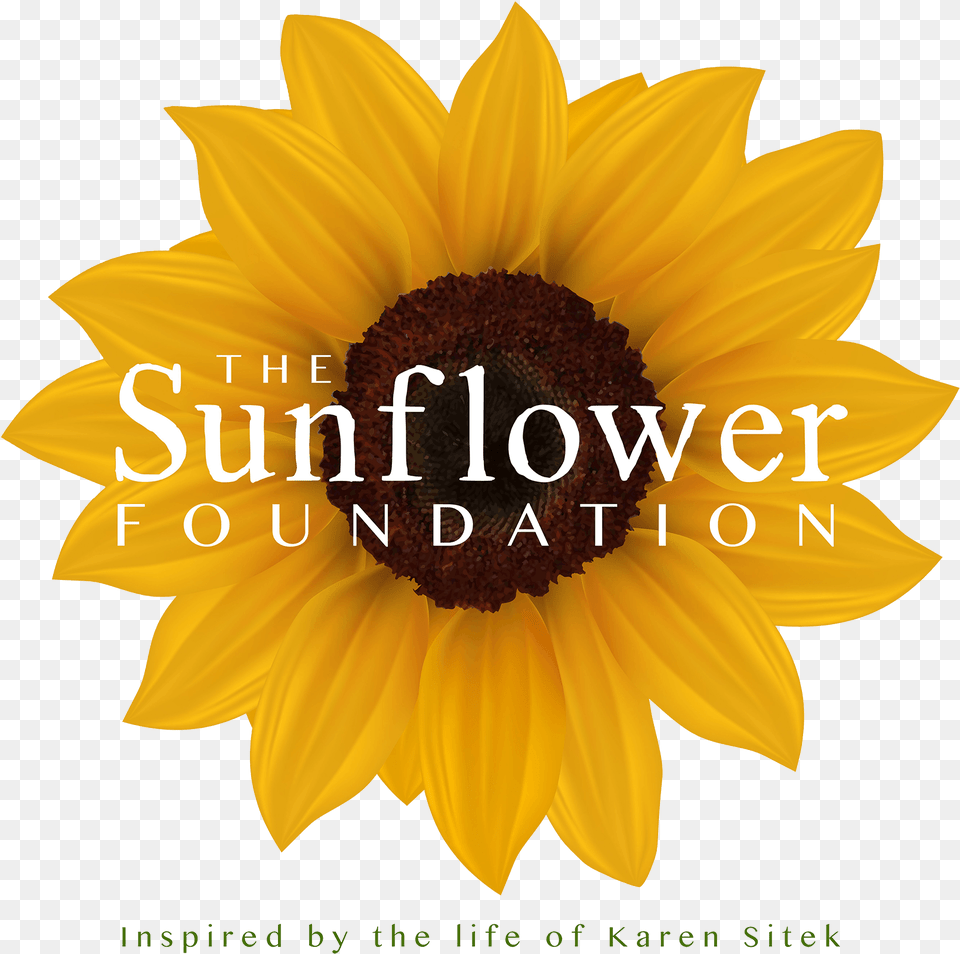 The Sunflower Foundation Ce Ce Peniston Finally Single, Flower, Plant Png