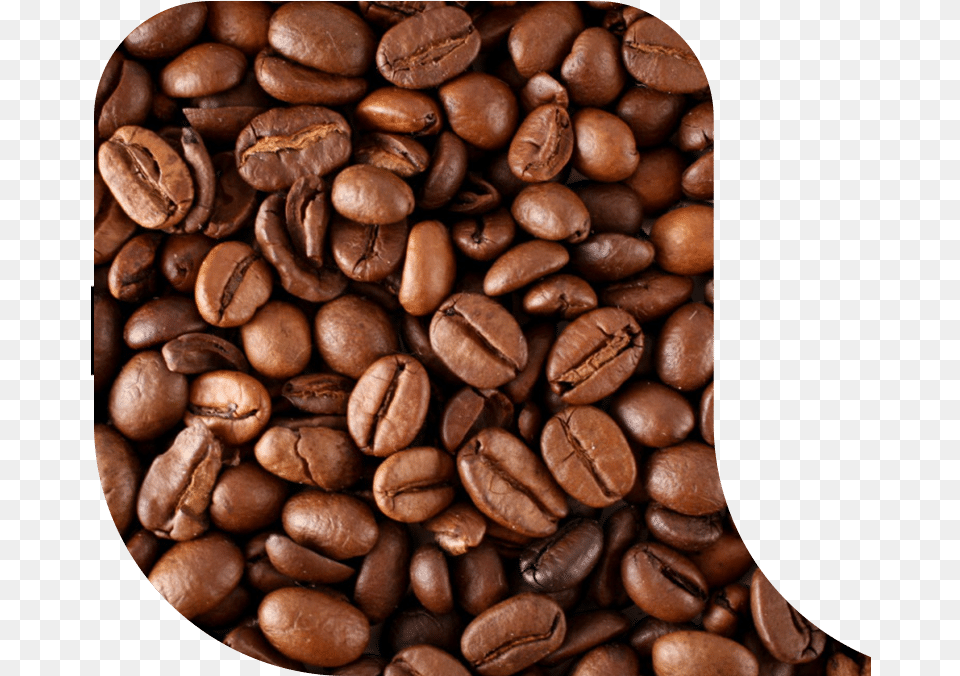 The Surface Of The Coffee Bean Is Dry Without Oil, Beverage, Coffee Beans Free Transparent Png
