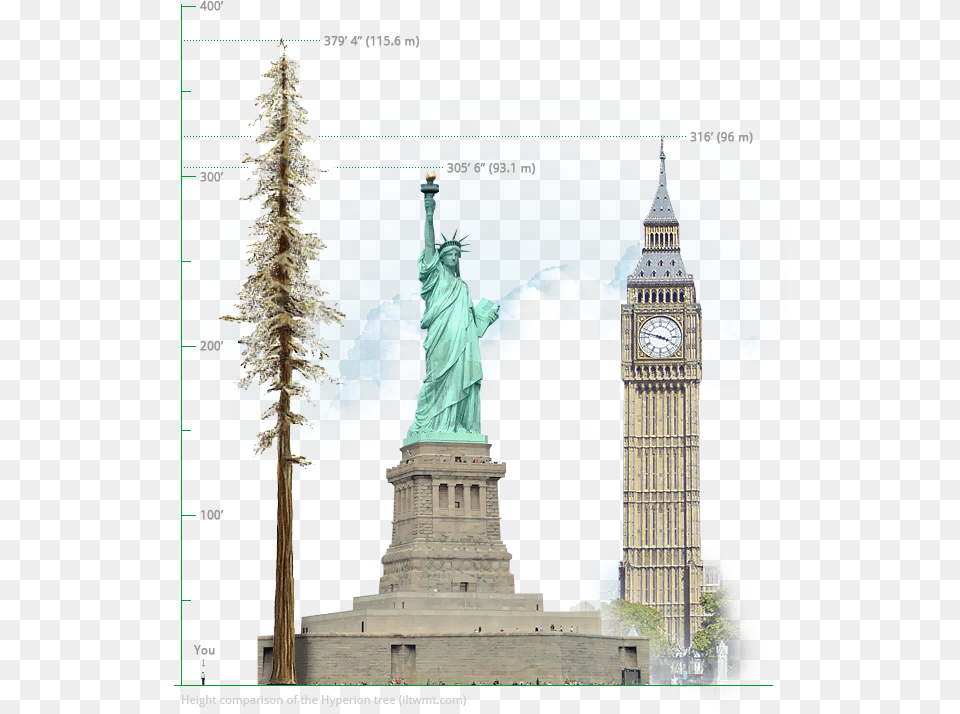 The Tallest Tree In World Hyperion 1156 Meters379u2032 4 Statue Of Liberty, Architecture, Building, Clock Tower, Tower Png