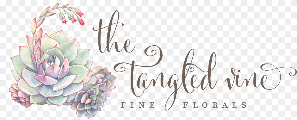 The Tangled Vine Designs, Art, Floral Design, Graphics, Pattern Free Transparent Png