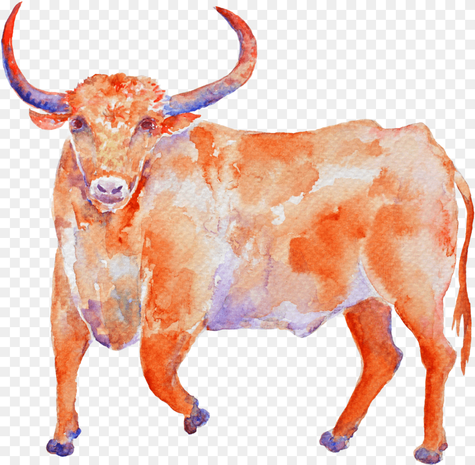 The Taurus Bull Just Like Every Other Zodiac Sign Zazzle Aquarell Stier Stier Iphone 87 Hlle, Animal, Mammal, Cattle, Cow Free Transparent Png